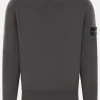 Topwear>STONE ISLAND felpa in jersey con badge logo Grigio