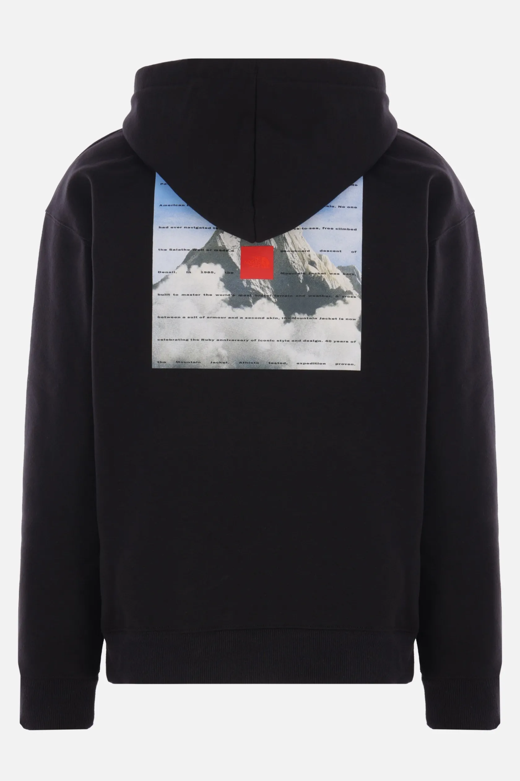 Topwear>THE NORTH FACE felpa 40TH Anniversary Mountain in jersey Nero