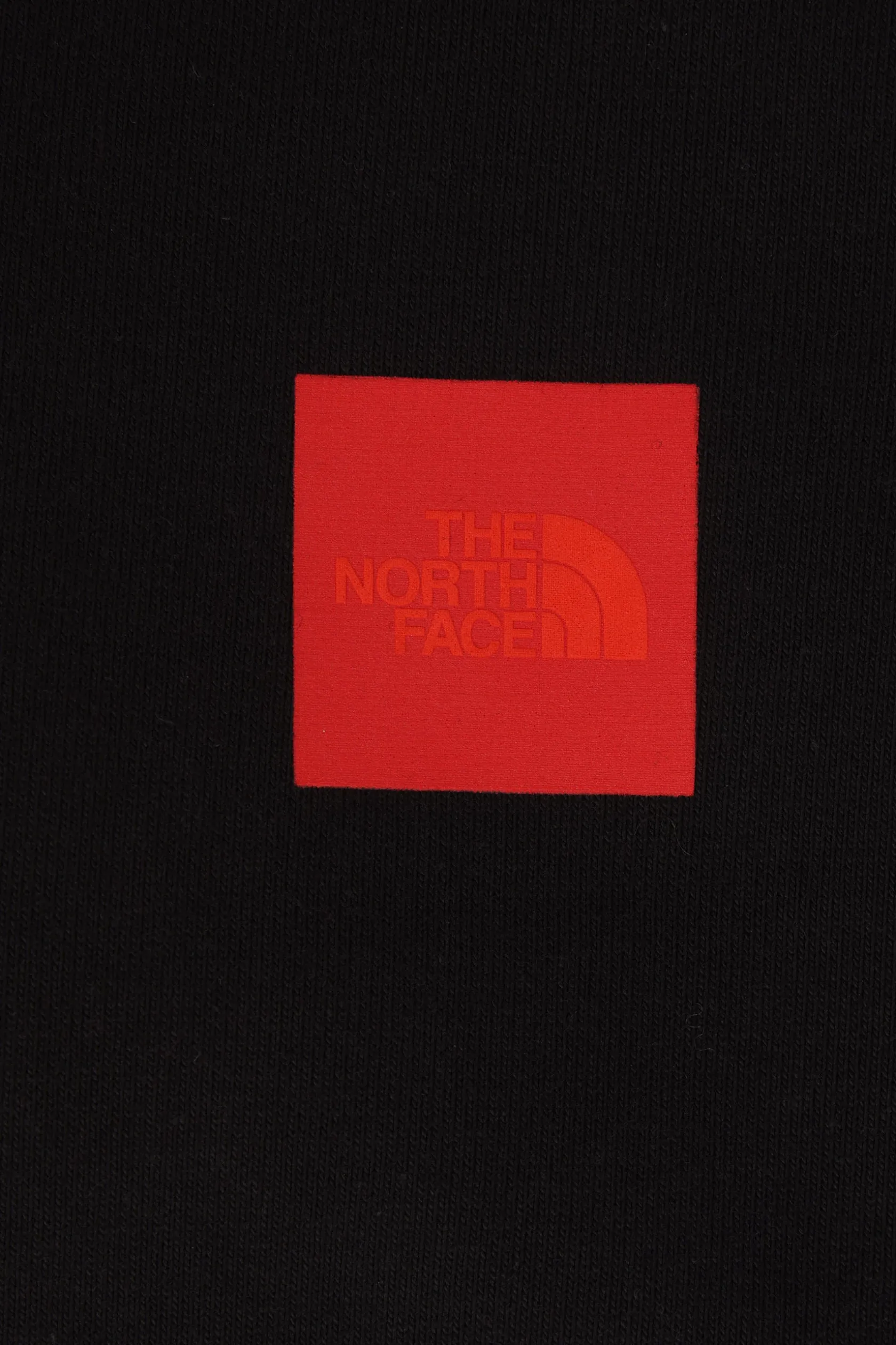 Topwear>THE NORTH FACE felpa 40TH Anniversary Mountain in jersey Nero