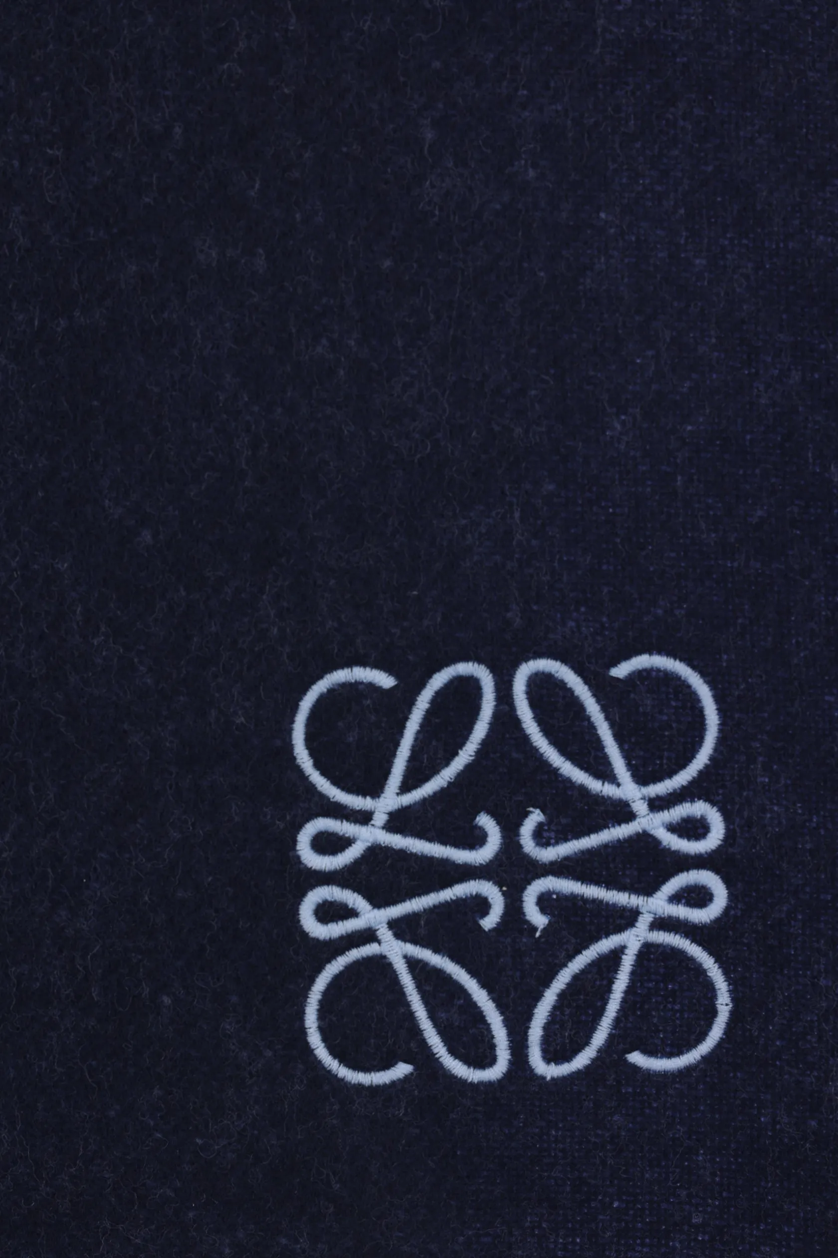 Accessori Da Indossare>LOEWE sciarpa reversibile in lana e cashmere Blu