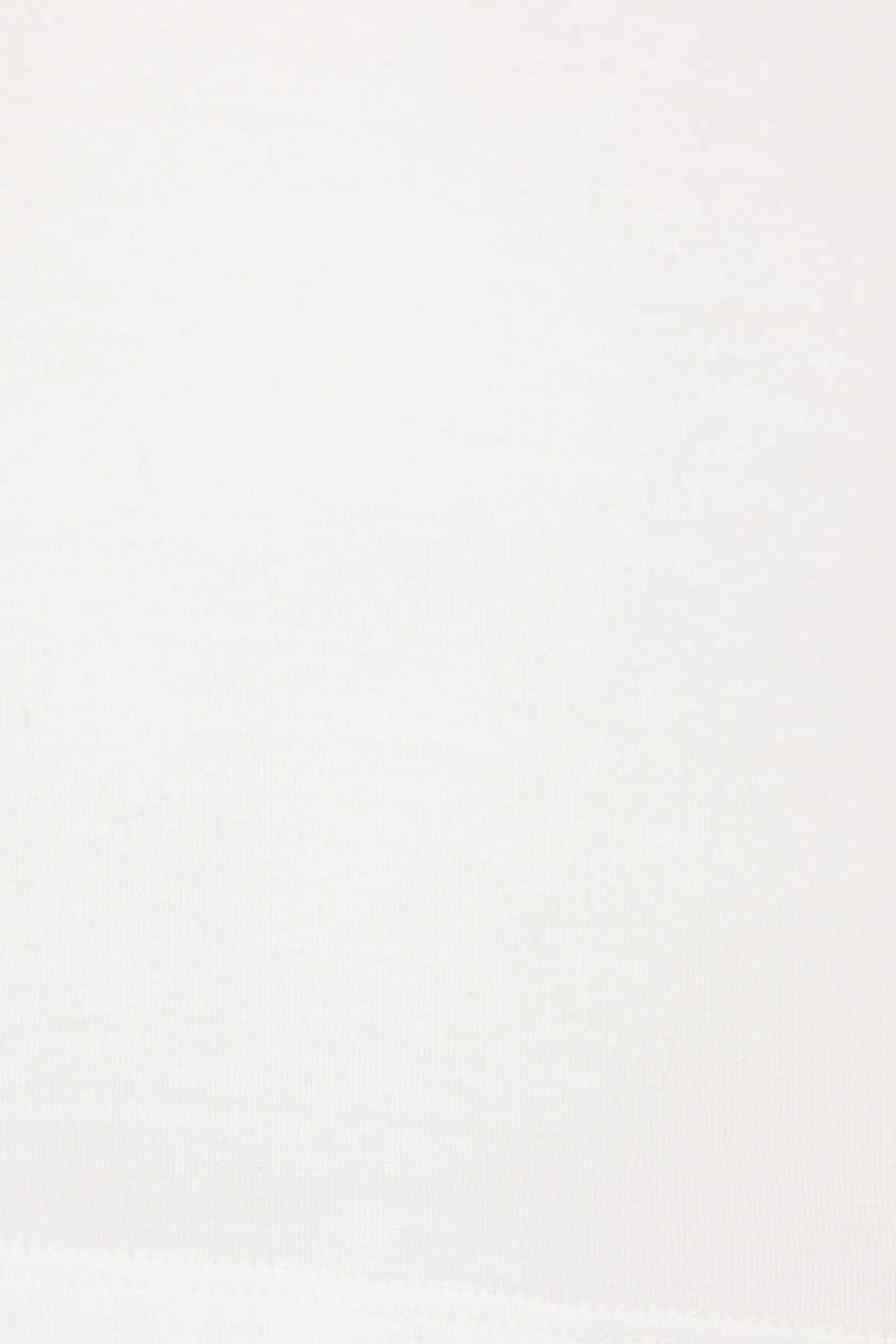 Topwear>Y-3 t-shirt in cotone stampa Bianco